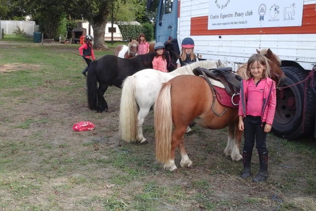 CENTRE EQUESTRE DU BOIS BRULE Centre Equestre Basse Goulaine Realisation 12