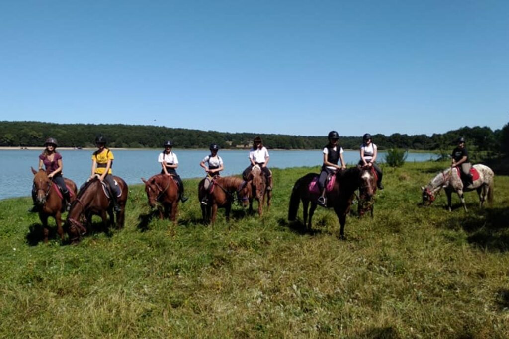 CENTRE EQUESTRE DU BOIS BRULE Centre Equestre Basse Goulaine Realisation 7