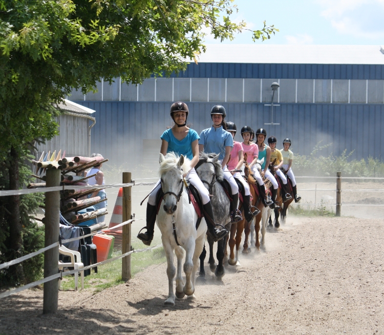 CENTRE EQUESTRE DU BOIS BRULE Centre Equestre Basse Goulaine CENTRE EQUESTRE DU BOIS BRULE H1 1