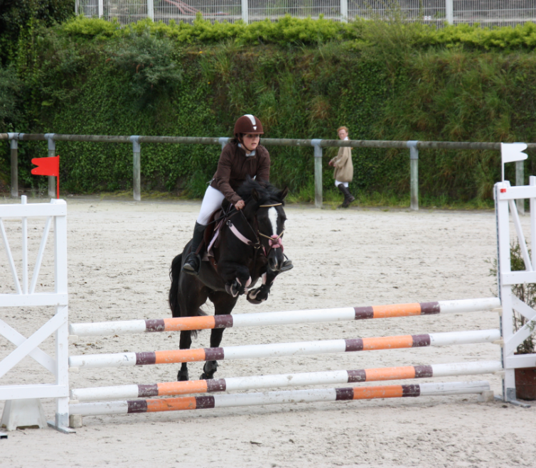 CENTRE EQUESTRE DU BOIS BRULE Centre Equestre Basse Goulaine Competition